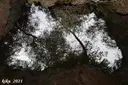 Avencó de Coll Verdeguer - Miniatura 6, Cervelló