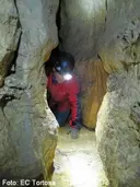 Cova dels Prats - Miniatura 8, Roquetes