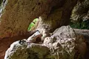 el Foradot - Miniatura 3, Mura