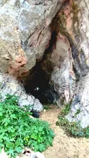 Cova de les Tempestes - Thumbnail 3, Montagut i Oix