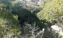 Avenc de les Bardisses - Miniatura 1, Begues