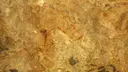 Abric dels Masets - Miniatura 4, Freginals