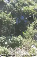 Avenc del Llorer - Miniatura 2, Begues