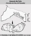 Avencó de Foix - Miniatura 1, Torrelles de Foix