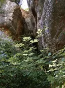 Cova Regal-marcet - Miniatura 2, Mura