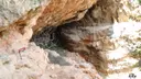 Cova del Grau - Miniatura 5, Avellanes i Santa Linya, Les
