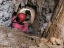 Cova Berta - Miniatura 7, Begur