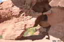Coves Nº2-3 de Can Mas - Thumbnail 8, Torrelles de Llobregat