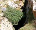 Forat de les Gralles - Thumbnail 2, Gósol