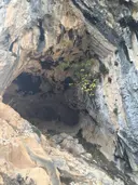 Cova dels Trabucaires - Thumbnail 3, Montagut i Oix