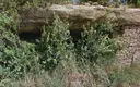 Balma de la Carretera - 缩略图 2, Fonollosa