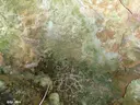 Avenc Petit del Solei de la Pedrosa - Thumbnail 4, Torroella de Montgrí