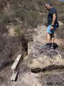 Forat Roig - Miniatura 1, Oliola
