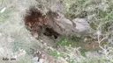 Avenc de la Discòrdia - Miniatura 1, Begues