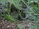 Forat de Collfred - Miniatura 1, Vidrà