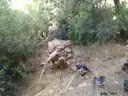 Cova de l'Hereu - Thumbnail 5, Vilanova de Meià