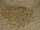 Avenc de la Vinyeta - Miniatura 6, Horta de Sant Joan