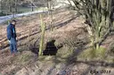 Forat dels Llops - Miniatura 1, Susqueda
