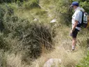Avenc de les Garses - Miniatura 2, Begues