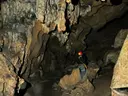 Cova dels Muricecs - Miniatura 11, Llimiana