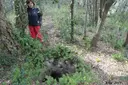 Cova dels Encantats - Thumbnail 1, Serinyà