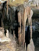 Cova Marigot - Thumbnail 6, Benifallet