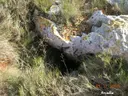 Avenc del Tell - Miniatura 2, Sitges