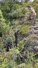 Pouet de Montrebei - Miniatura 2, Sant Esteve de la Sarga