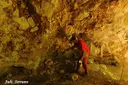 Balma de la Font del Bassi - Miniatura 5, Febró, La