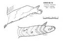 Cova Sc-74 - Miniatura 2, Gisclareny