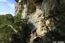 Cova del Cingle de l'abellera - صورة مصغرة 3, Mont-ral