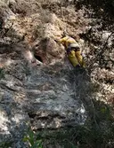 Gatera Penjada de Secabecs - Miniatura 1, Torrelles de Foix