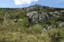 Avenc de Penya Embassada - Miniatura 1, Olivella
