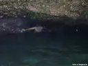 Coves del Xertolí - Miniatura 5, Ametlla de Mar, L'