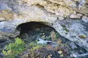 Coves del Catau de l'ós - Miniatura 5, Queralbs