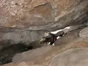 la Tronassa de la Tor - Miniatura 3, Lluçà