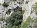 Cova del Cingle de l'abellera - صورة مصغرة 1, Mont-ral