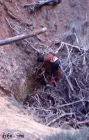 Forat de la Roqueta - Miniatura 6, Conca de Dalt