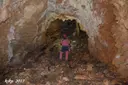 Grallera de Cambrils - Miniatura 12, Odèn