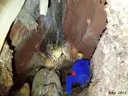 Cova del Frontal - Miniatura 15, Mura
