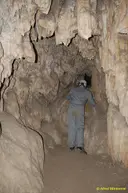 Cova del Temple - Miniatura 4, Carme