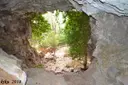 Cova del Grèvol - 缩略图 7, Capafonts