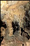 Cova Marigot - Thumbnail 10, Benifallet