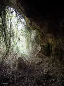 Cova del Pou del Melo - Miniatura 2, Alcanar