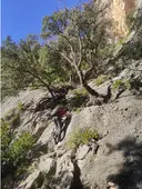 Forat de la Faixa de Roca Roja - Miniatura 2, Mas de Barberans