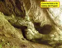 Balma del Pujant - Miniature 6, Gombrèn