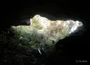 Cova del Pi - صورة مصغرة 2, Ulldecona