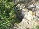 Avenc del Gos - Miniatura 1, Gavet de la Conca
