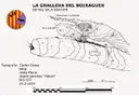 Graller del Boixeguer - Thumbnail 6, Sant Esteve de la Sarga