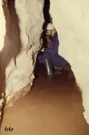 Cova del Toll - Miniatura 7, Moià